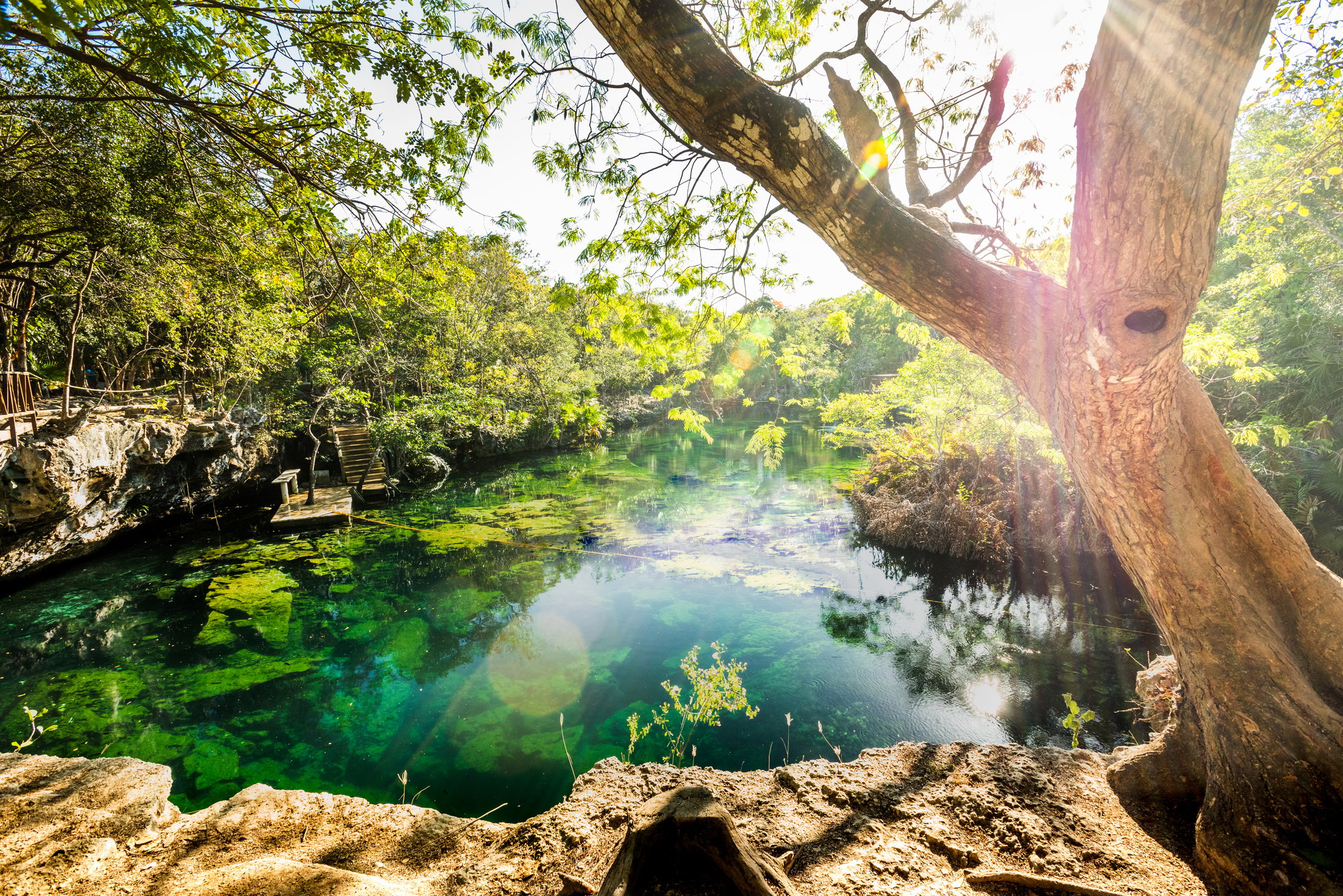 Cenote